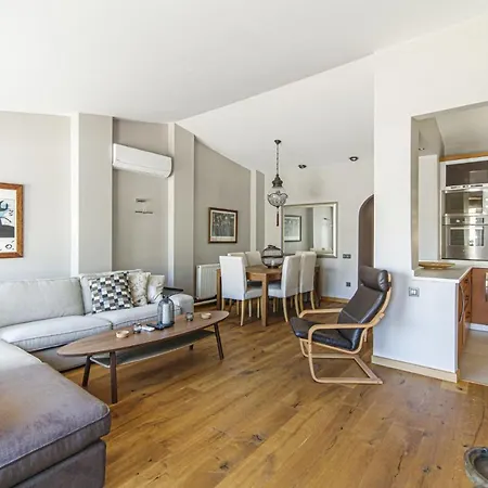 公寓 Bosphorus View Flat With Terrace In Arnavutkoy 伊斯坦布尔